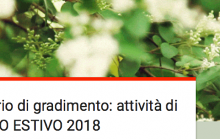 Questionario Sportello Estivo 2018